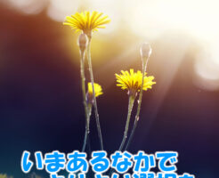 いまあるなかでよりよい選択を