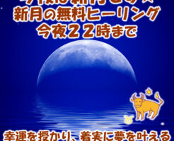 今夜は新月です