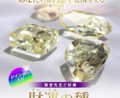 最高品質天然シトリン 財運の種