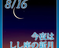 今夜は