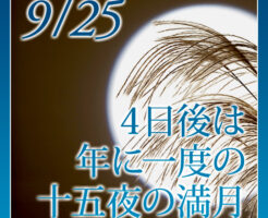 ４日後は年に一度の