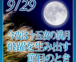 特別企画は今夜２２時〆切