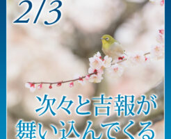 明日の夜２２時〆切☆