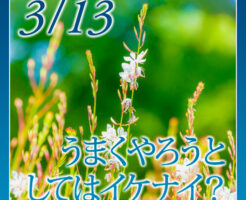 うまくやろうとしてはイケナイ？