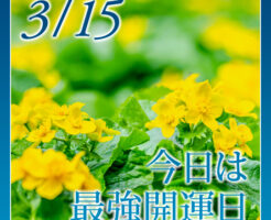 今日は最強開運日☆春らんまん財運財布＆財運ブレスちょこっと予約受付します