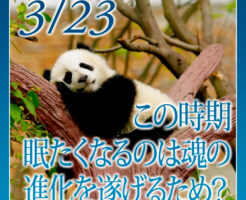 この時期