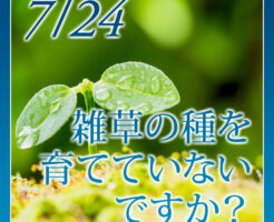 雑草の種を育てていないですか