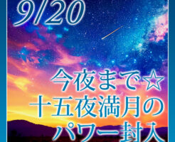 申し込みは今夜まで