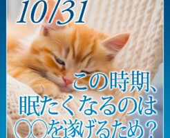 この時期、眠たくなるのは〇〇を遂げるため？