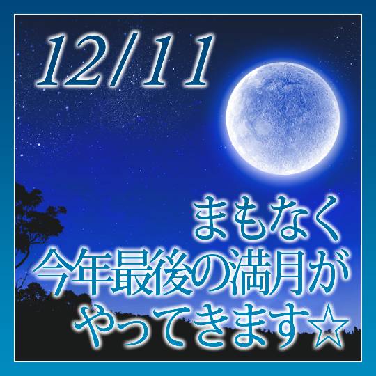 まもなく今年最後の満月がやってきます☆2025年に向けての特別企画 