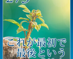 これが最初で最後という感性を