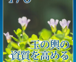 玉の輿の資質を高める秘訣とは？