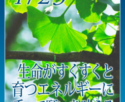 生命がすくすくと育つエネルギーに乗って願いを叶える