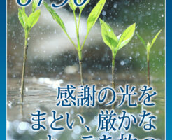 感謝の光をまとい、厳かなオーラを放つ