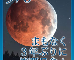 ☆☆☆☆☆☆☆・☆☆☆☆☆☆☆ ☆ Have a Wonderful Night~ ☆ ☆ステキな夜になりますように☆ ☆☆☆☆☆☆☆・☆☆☆☆☆☆☆