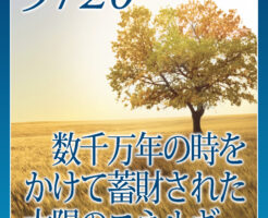 数千万年の時をかけて蓄財された太陽のエネルギー