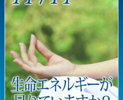 最近、生命エネルギーが足りていますか？