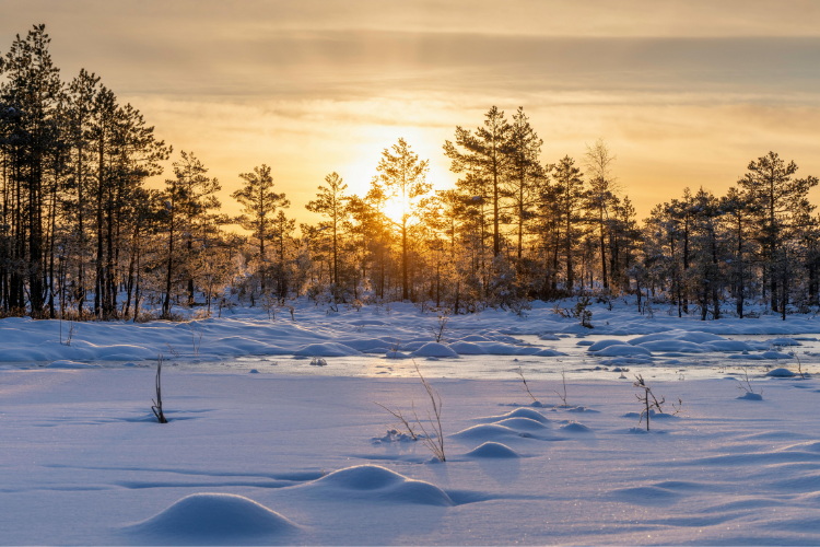 2025年の冬至が特別な理由