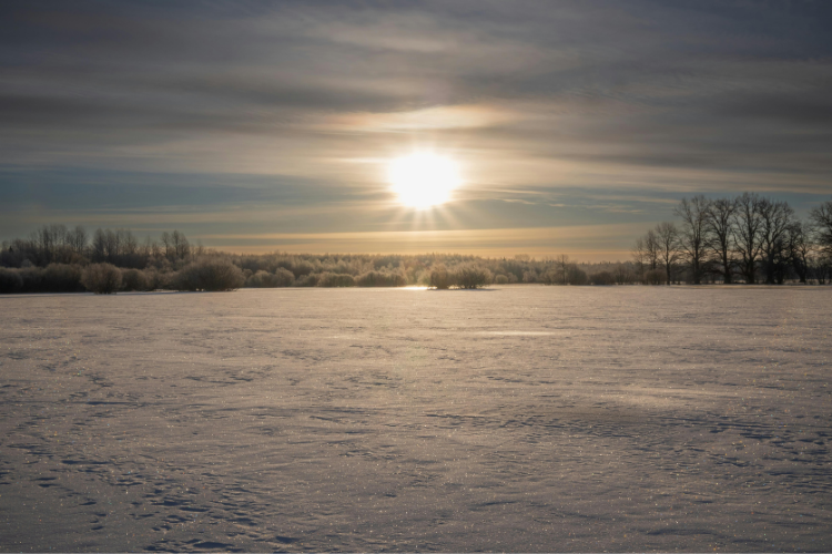 冬至に向いている願い事のテーマ