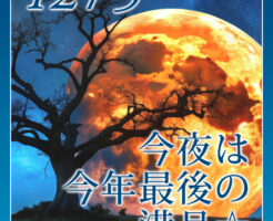 今夜は今年最後の満月☆