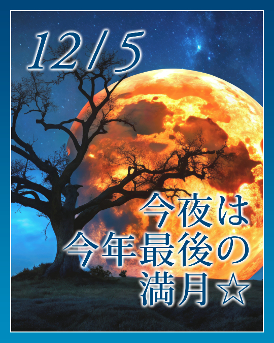 今夜は今年最後の満月☆