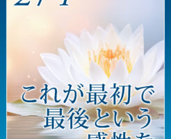 これが最初で最後という感性を