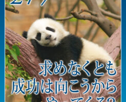 求めなくとも成功は向こうからやってくる？