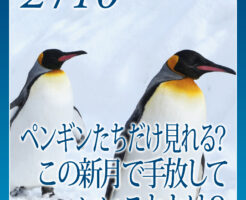 ペンギンたちだけ見れる？この新月で手放していいこととは？