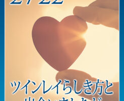 ツインレイらしき方と出会いましたが