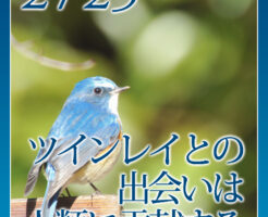 ツインレイとの出会いは人類に貢献する