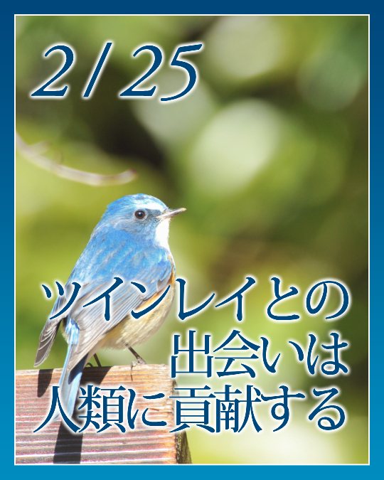 ツインレイとの出会いは人類に貢献する