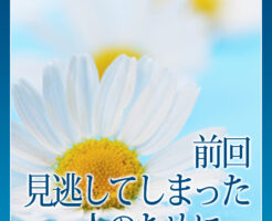 前回、見逃してしまった人のために