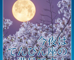 今夜はてんびん座の満月です☆