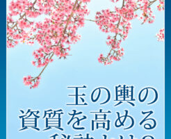 玉の輿の資質を高める秘訣とは？