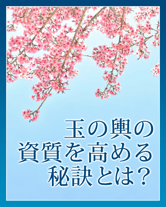 玉の輿の資質を高める秘訣とは？