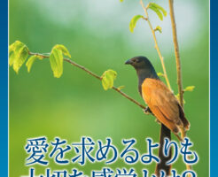 愛を求めるよりも大切な感覚とは？