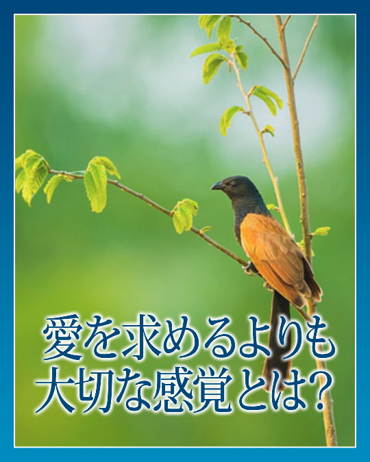 愛を求めるよりも大切な感覚とは？