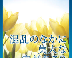 混乱のなかに莫大な富がある