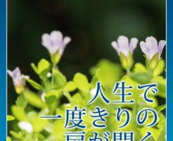 人生で一度きりの扉が開く