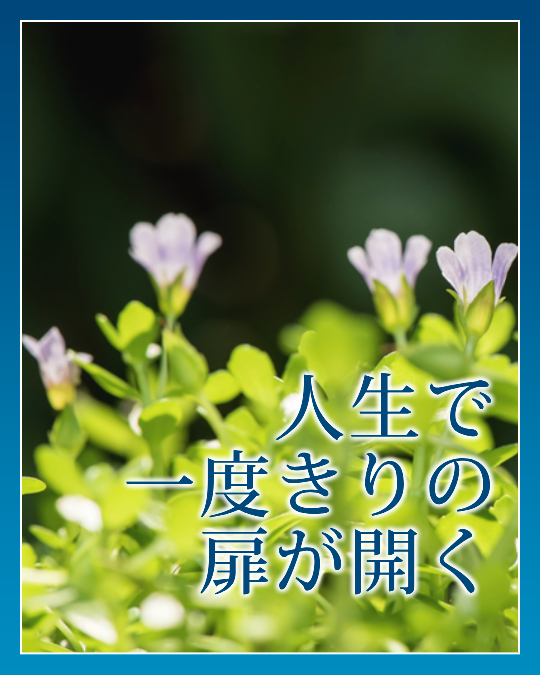人生で一度きりの扉が開く