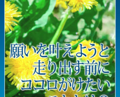 願いを叶えようと走り出す前にココロがけたいこととは