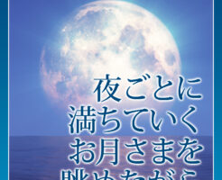 夜ごとに満ちていくお月さまを眺めながら