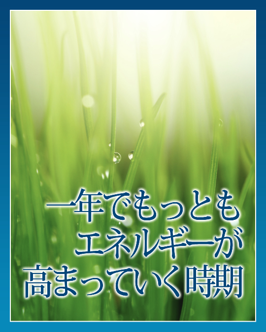 一年でもっともエネルギーが高まっていく時期